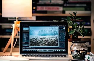 編程熱潮持續(xù) QS預(yù)測2020年計(jì)算機(jī)編程仍為前景最佳行業(yè)